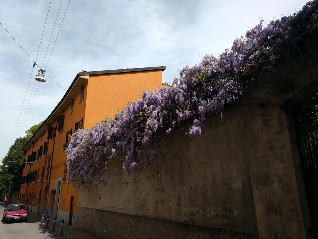Appartement Malgrado House - Nigrisoli - Sant'orsola *